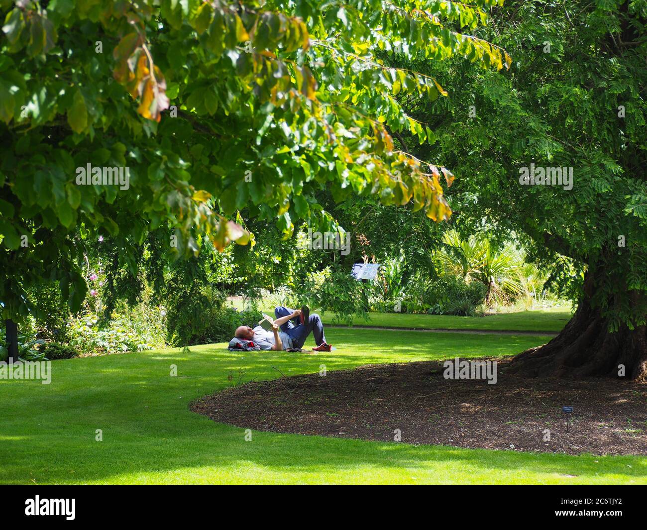 Oxford, Großbritannien. Juli 2020. Ein warmer, sonniger Tag bringt die Besucher in den Botanischen Garten der Universität Oxford. Kredit: Angela Swann/Alamy Live Nachrichten Stockfoto