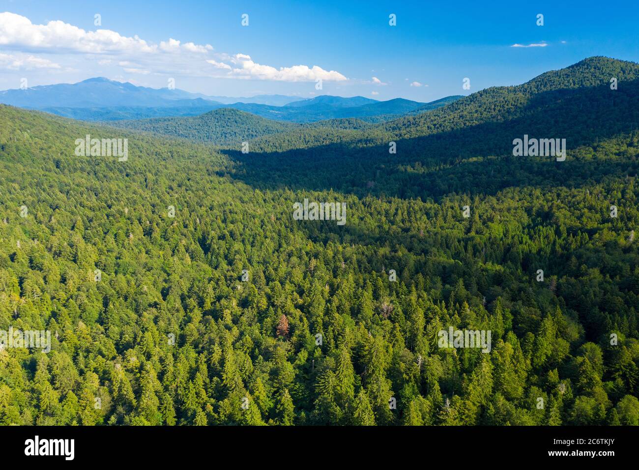 Luftaufnahme des Primärwaldes Corkova uvala im Nationalpark Plitvicer Seen, Kroatien Stockfoto