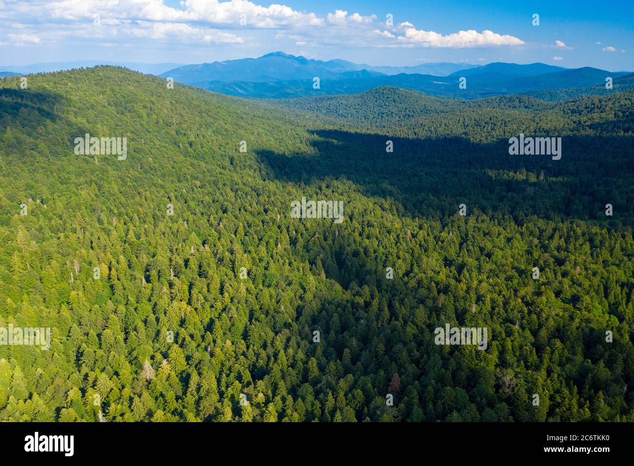 Luftaufnahme des Primärwaldes Corkova uvala im Nationalpark Plitvicer Seen, Kroatien Stockfoto