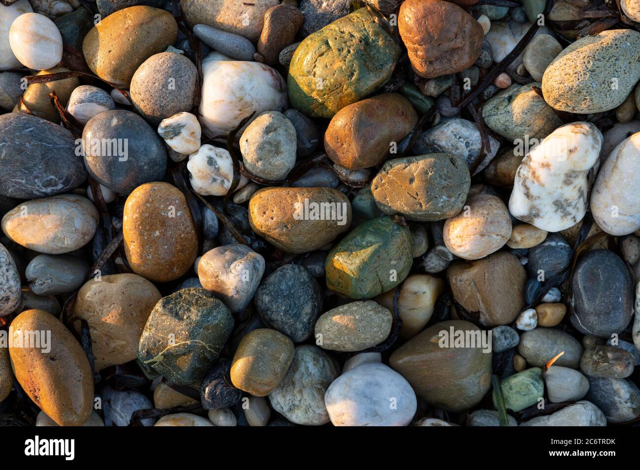 Natur Hintergrund aus verschiedenen Farben Sea Stones Kieselsteine , Sommerzeit Stockfoto
