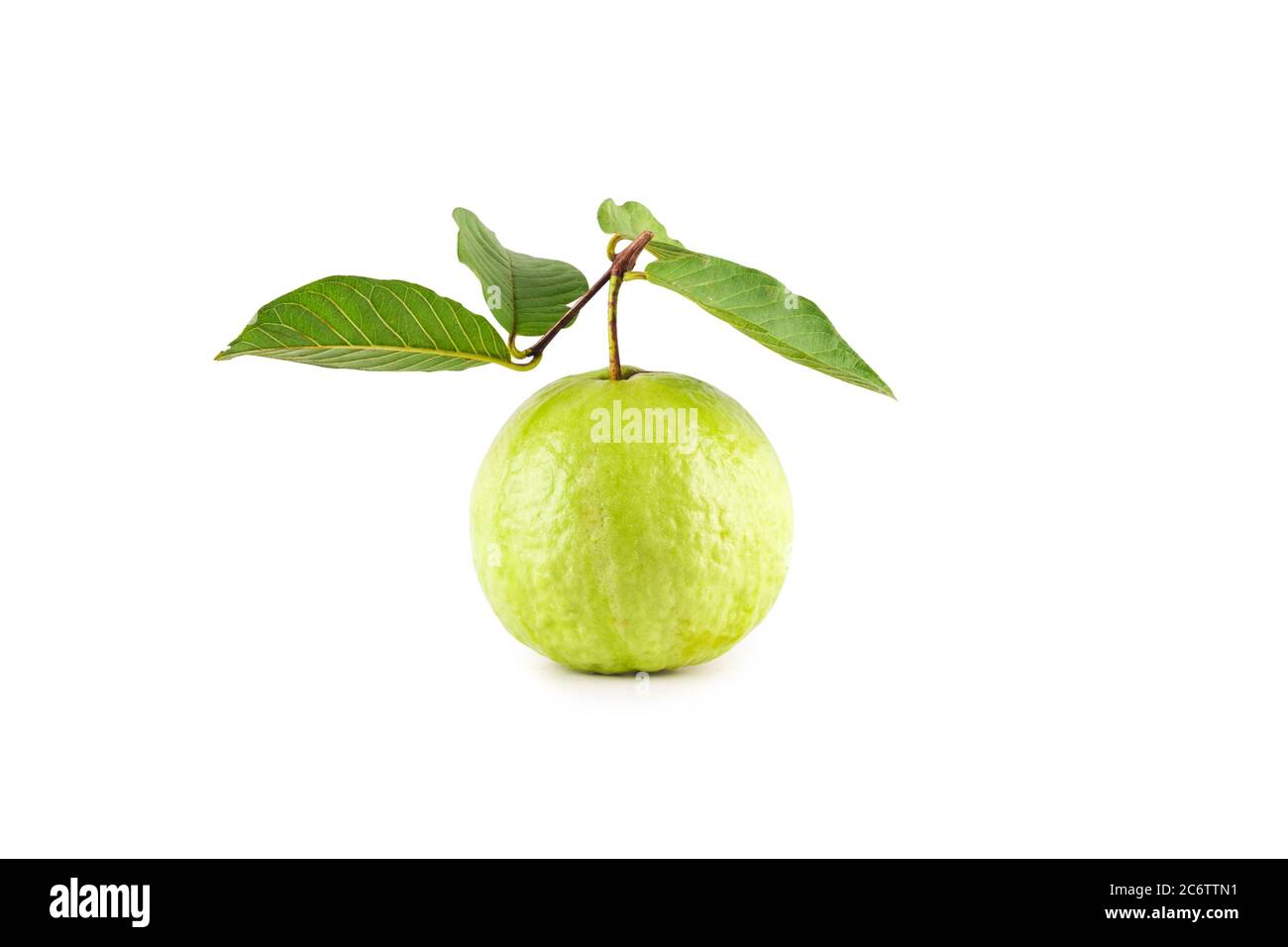 psidium guajava und Guava Blatt auf weißem Hintergrund Obst Landwirtschaft Lebensmittel isoliert Stockfoto