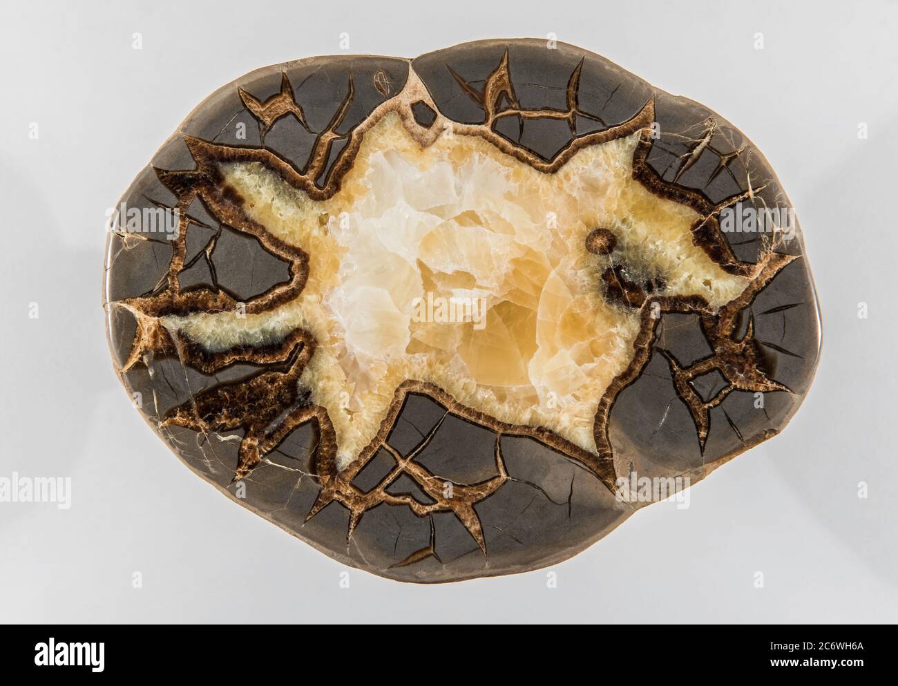 Septarian Nodule, von Bruce Montagne/Dembinsky Photo Assoc Stockfoto