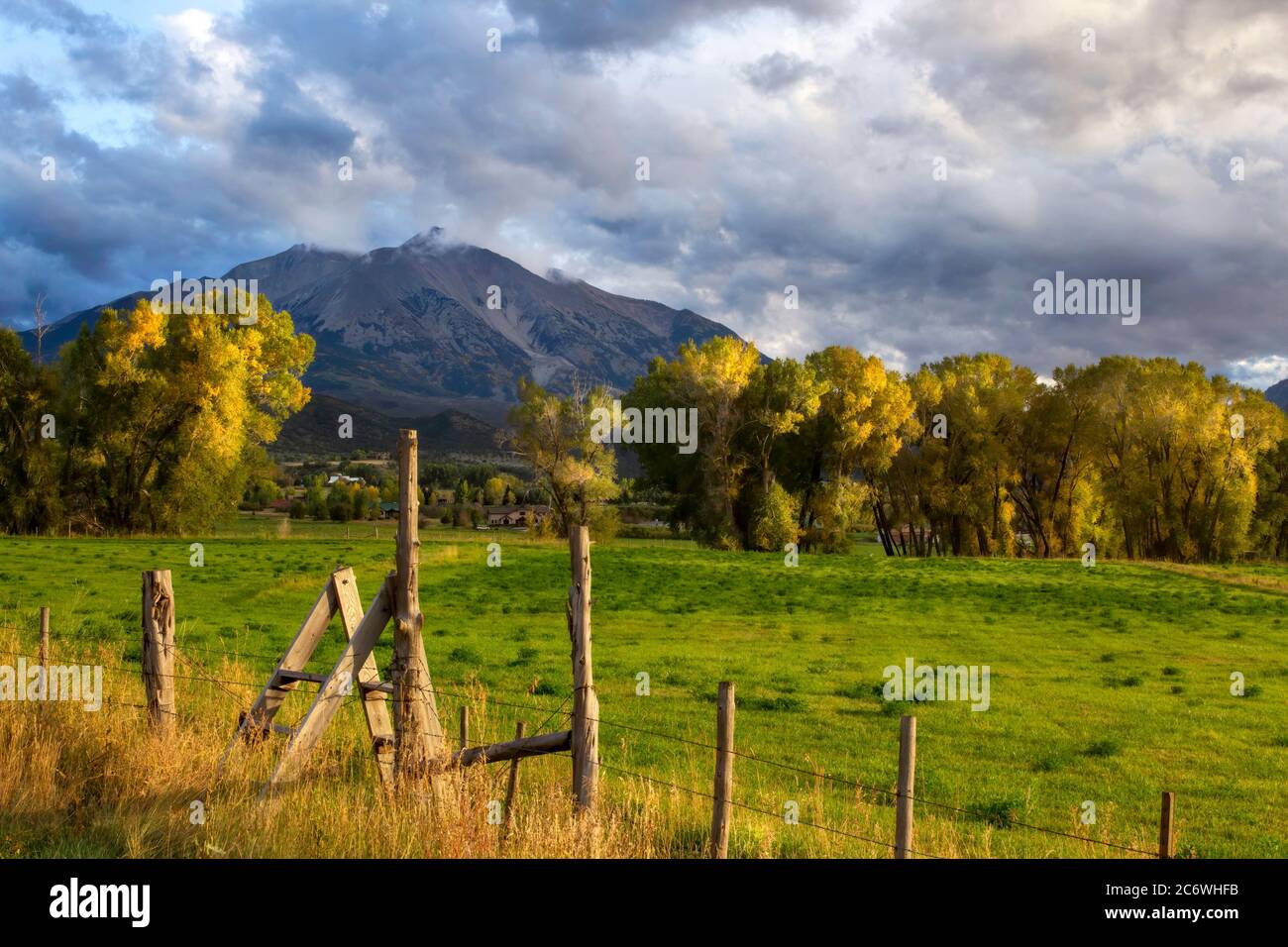 Bäume, die golden sind, mit Herbstfarben, wenn Wolken auf Mt Sopris außerhalb von Carbondale Colorado herabsteigen Stockfoto