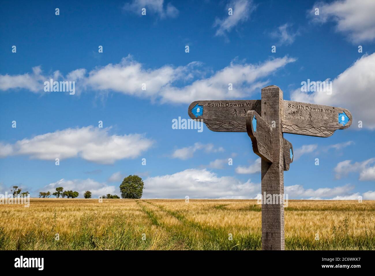 Entlang der South Downs Way in West Sussex Stockfoto