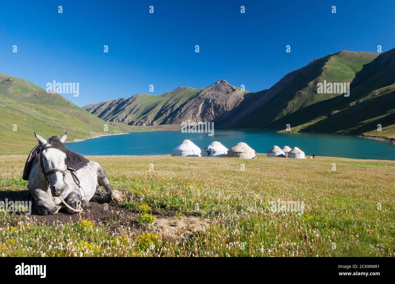 Liegend Pferd und Jurten in der Nähe des Sees in Yian Shan. Kirgisistan Stockfoto