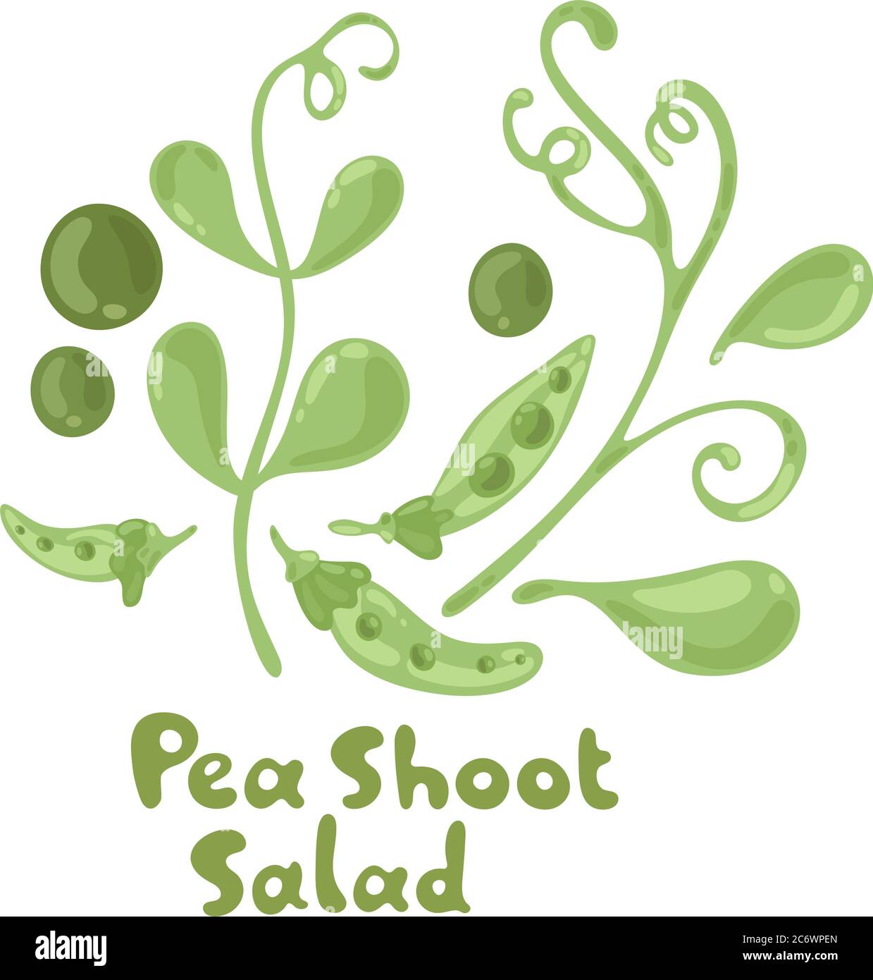 PEA schießt Vektor Gemüse Illustration. PEA schießt Salat Zutat. Botanische Zeichnung. Landwirtschaftlicher Markt. Isoliert niedlichen Symbol auf weißem Hintergrund Stock Vektor