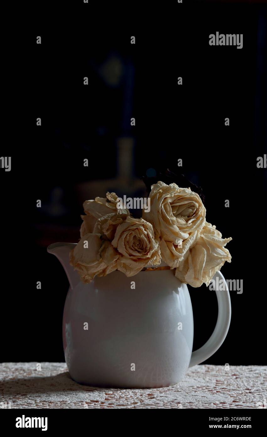 Weiße getrocknete Rosen in einem weißen Milchkännchen Stockfoto