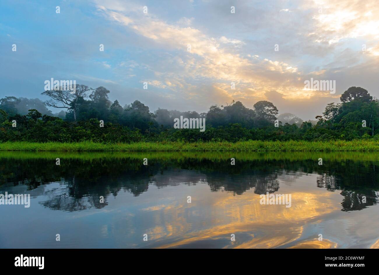 Sonnenaufgang im Nebel und Nebel während einer Vogelbeobachtungstour im Kanu, Amazonas Regenwald. Stockfoto