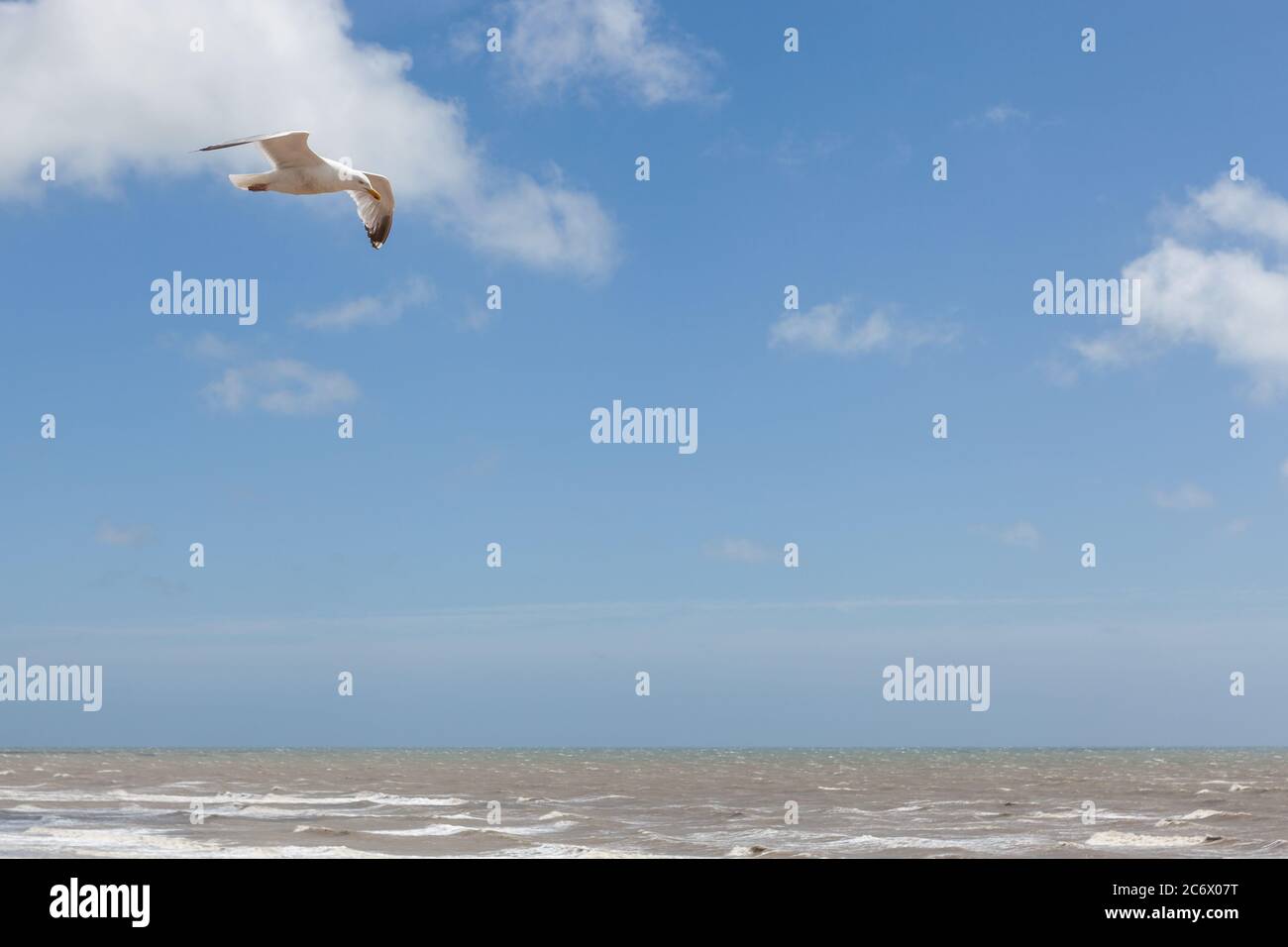 Möwe fliegt über Wasser und mit Kopierraum. Stockfoto Möwe fliegt über Wasser und mit Kopierraum. Stockfoto