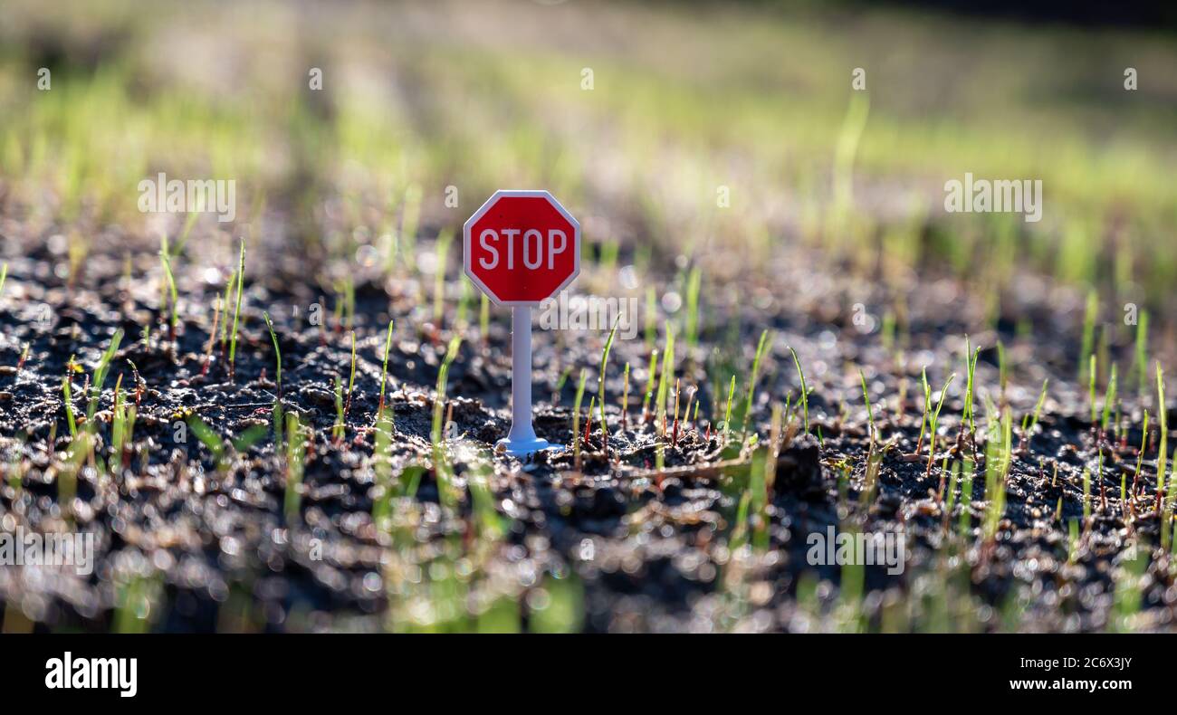 Stop-Schild auf neuen Rasen. Stockfoto