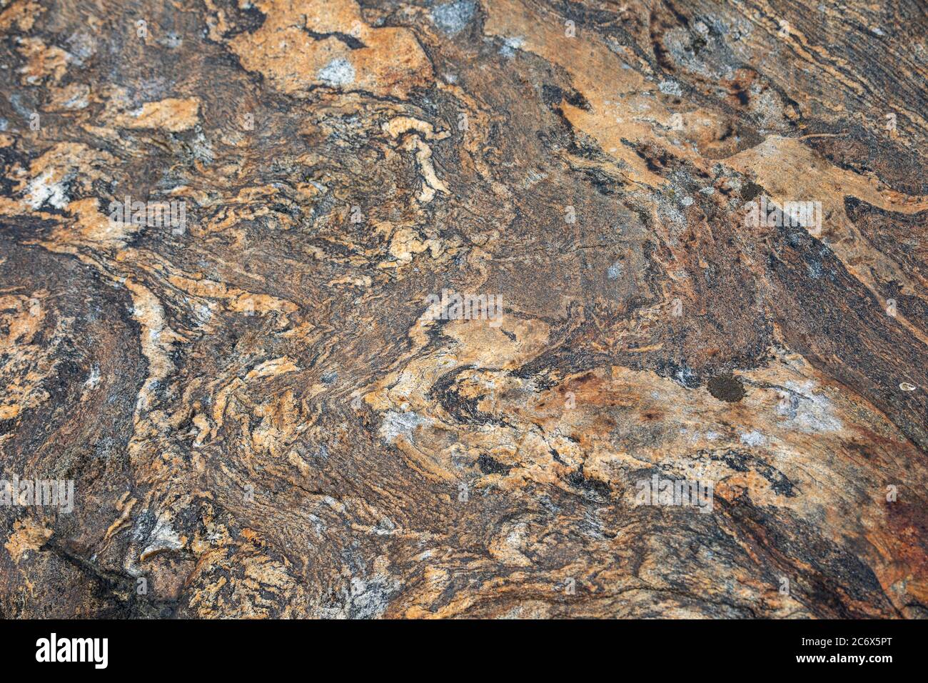 Migmatite Texturen auf einem Küstenfelsen auf der Harakka Insel des Helsinki Archipels, Finnland Stockfoto