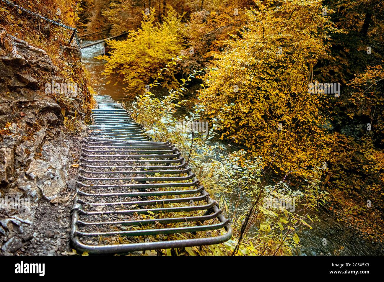 Abenteuerpfad im Herbst in den Wäldern des slowakischen Paradieses in der Slowakei Stockfoto