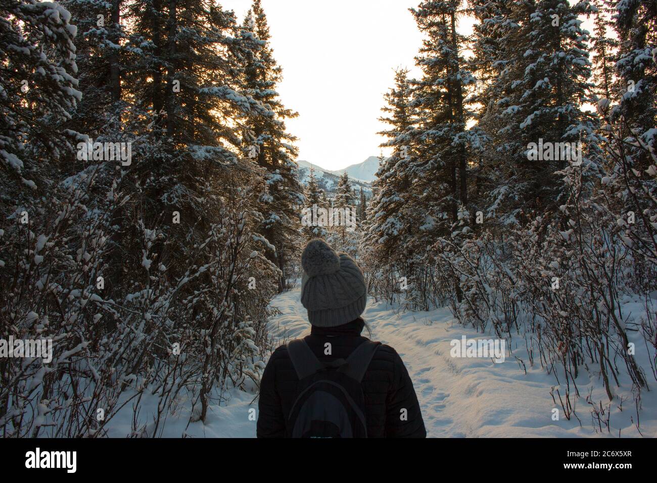 Denali National Park Schneewanderung Stockfoto