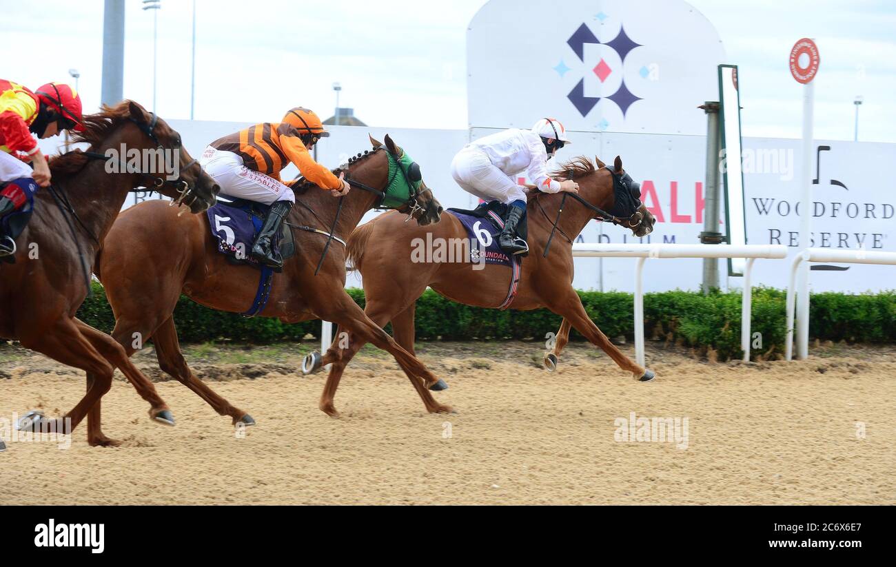 Irish Stallion Farms Median Auction Race The Economics of the Median Auction