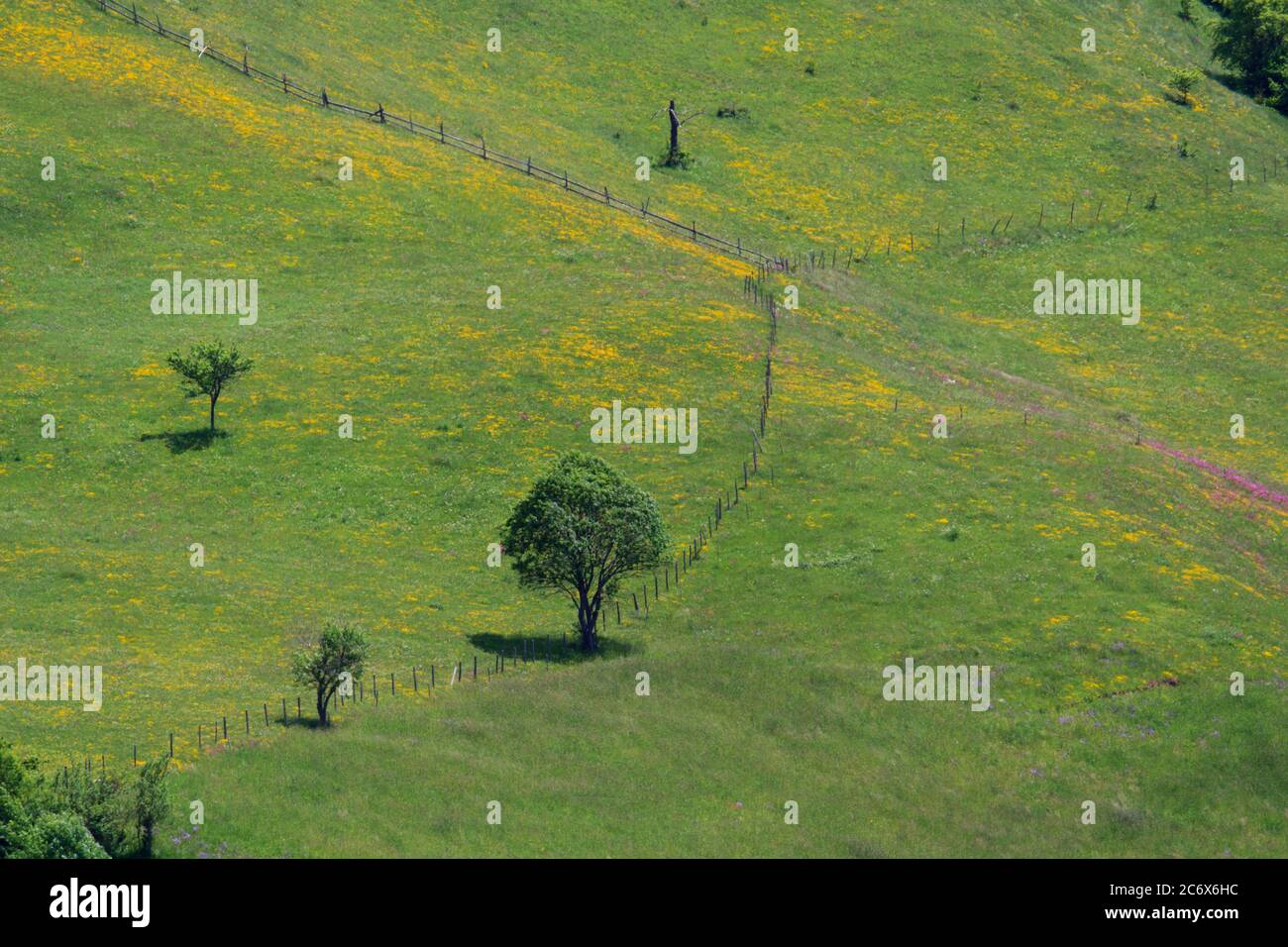 Serbien, Berg Zlatar bei Nova Varos Stockfoto