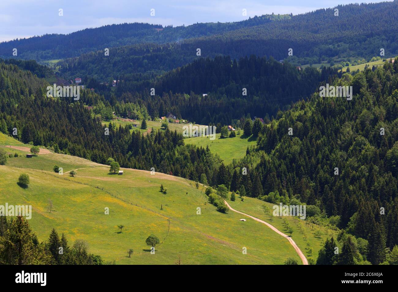 Serbien, Berg Zlatar bei Nova Varos Stockfoto
