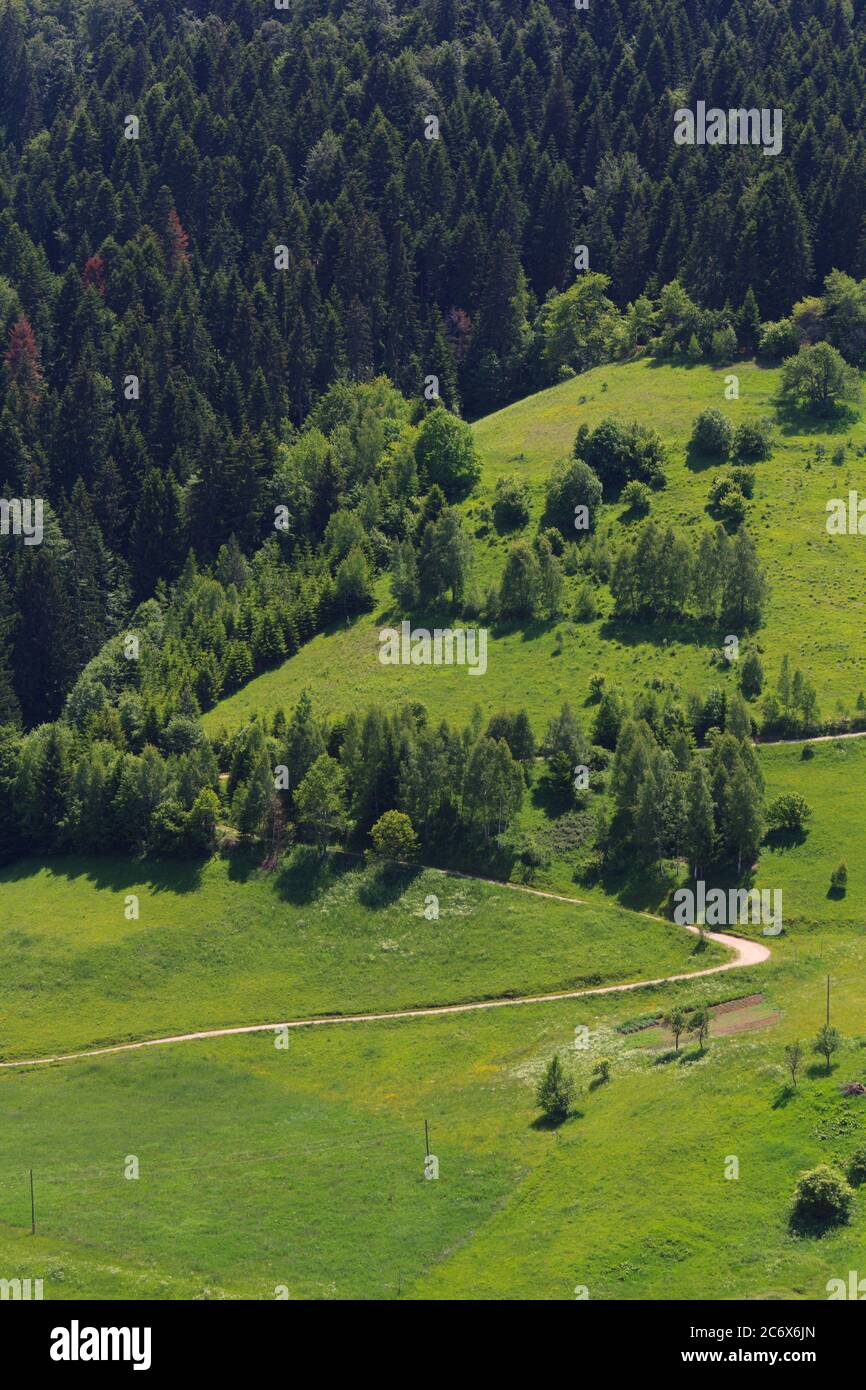 Serbien, Berg Zlatar bei Nova Varos Stockfoto