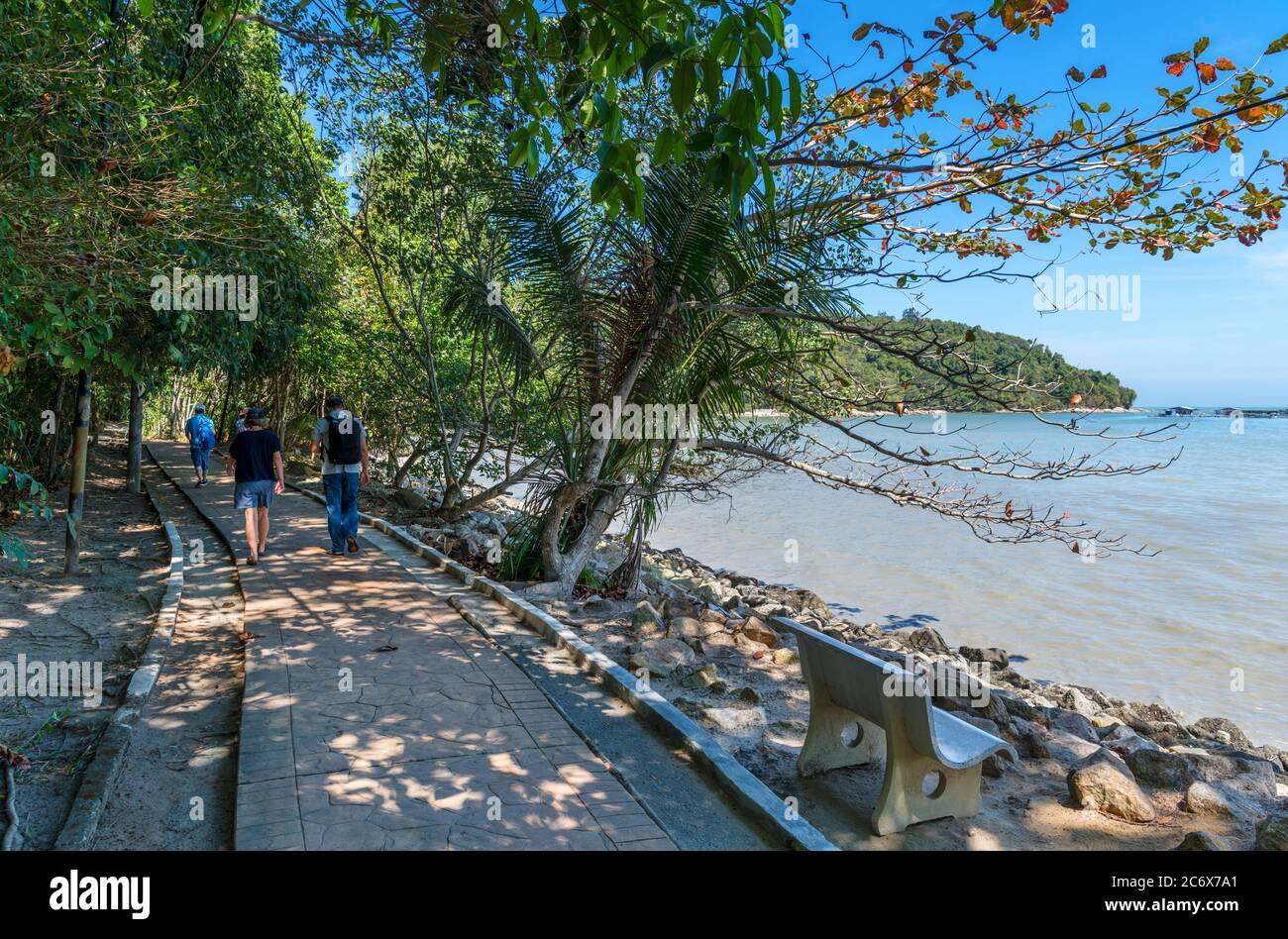 Trail durch Penang Nationalpark, Teluk Bahang, Penang, Malaysia Stockfoto