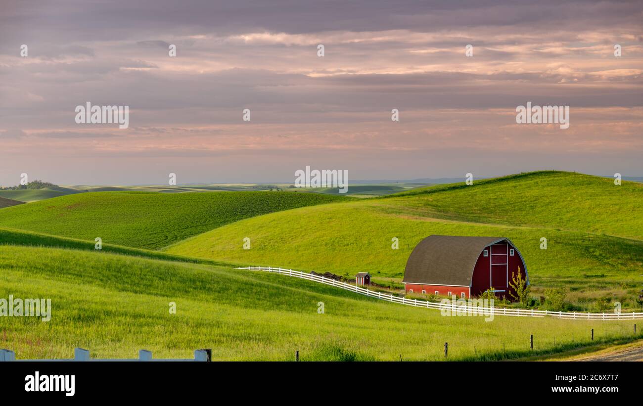 Entfernte Felder mit einem leuchtend roten Scheune und weißem Zaun Stockfoto