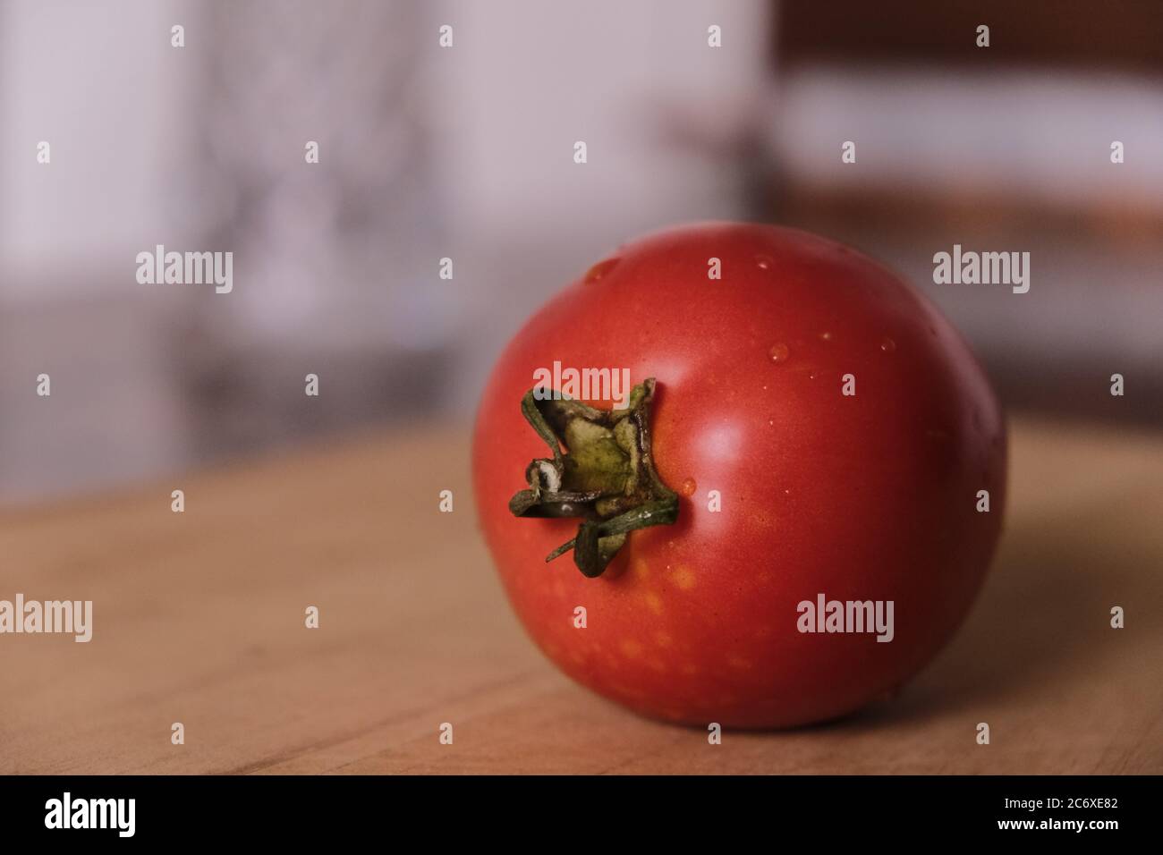 Eine reife Tomate in guter Größe Stockfoto