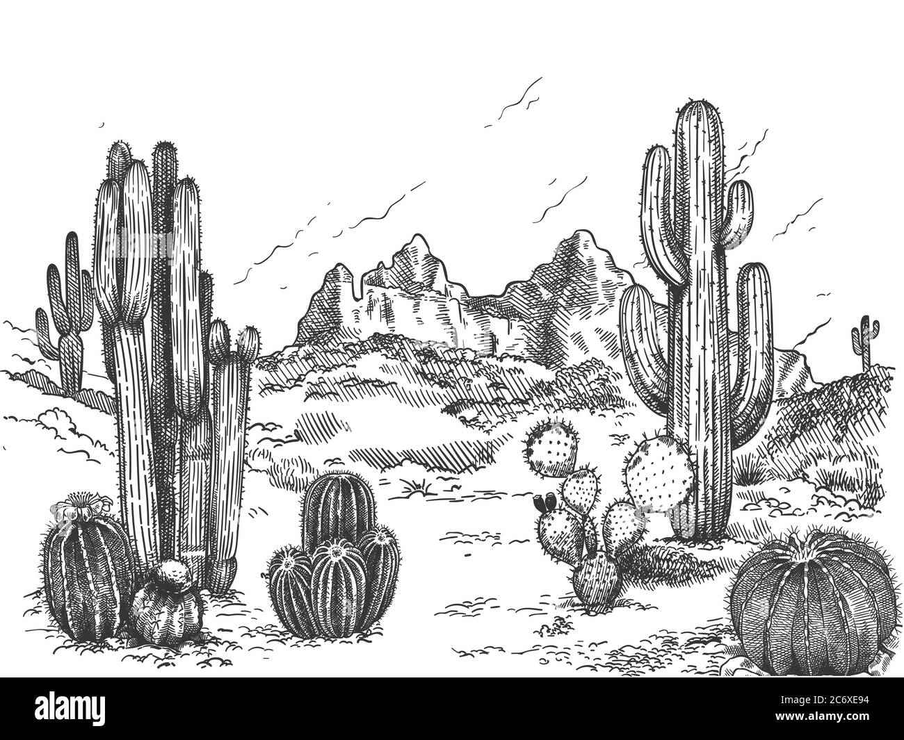 Wüstenlandschaft. Handgezeichnete mexikanische Prärie mit Pflanzen und blühenden Kakteen, stachelige Sukkulenten Natur wilden Westen Skizze Vektor Hintergrund Stock Vektor