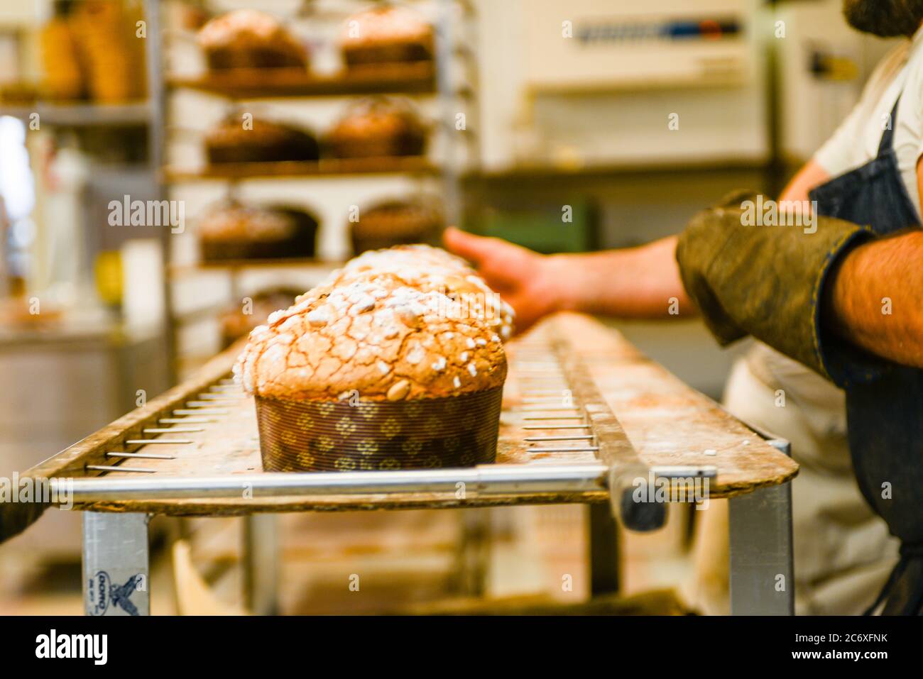 Backen Sie eine Gruppe von Panettone italienischen weihnachten süßen Kuchen in profi-Backofen Stockfoto Backen Sie eine Gruppe von Panettone italienischen weihnachten süßen Kuchen in profi-Backofen Stockfoto