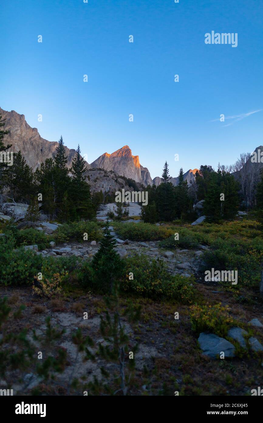 Morning alpenglow beleuchtet den Ambush Peak nördlich des Mount Geikie und südlich des RAID Peak in Wyomings Wind River Range. Stockfoto