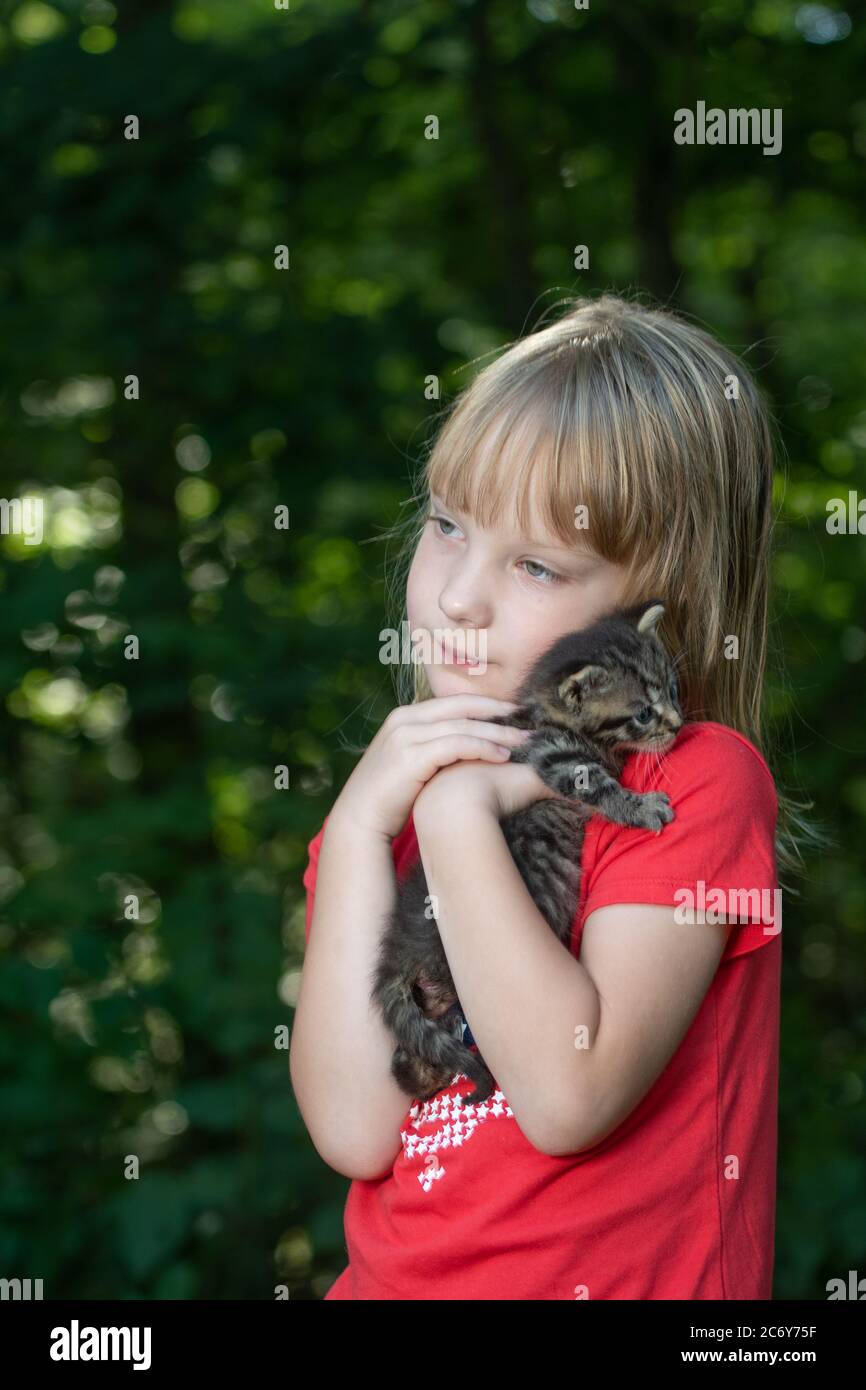 Ein fünfjähriges Mädchen, das im Sommer ein tabby Kätzchen im Freien mit Bäumen im Hintergrund hält. Stockfoto