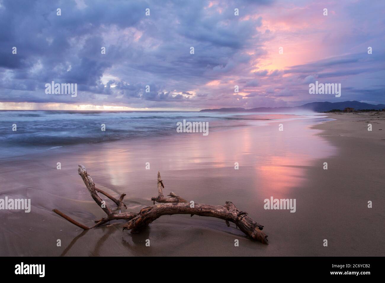 Driftwood on the Beach in Barra de Potosi, Guerrero, Mexiko Stockfoto