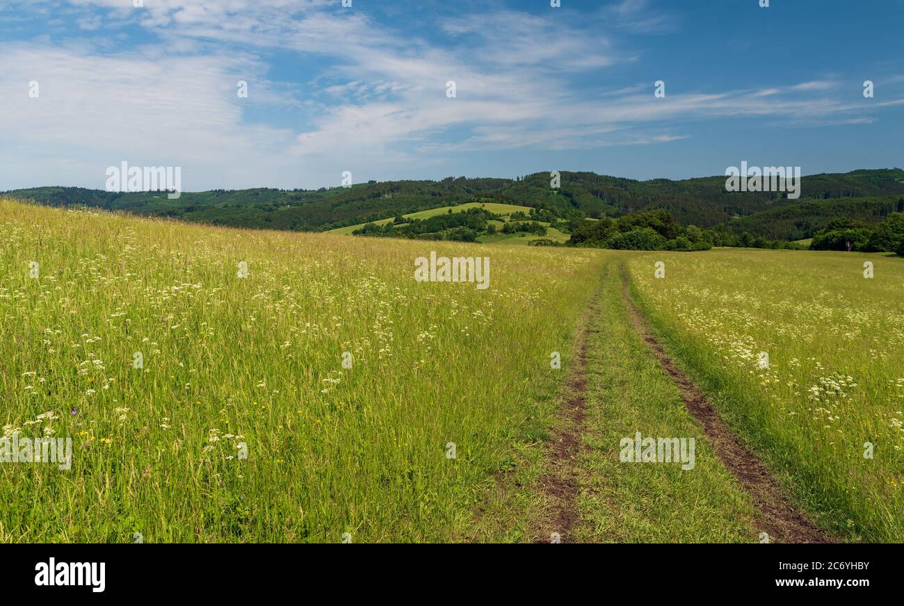 Schöne Galle Karpaty Berge mit Mischung aus Wiesen, Hügeln und Wald auf tschechisch-slowakischen Grenzgebiet über Nedasova Lhota Dorf in der Tschechischen republik Stockfoto