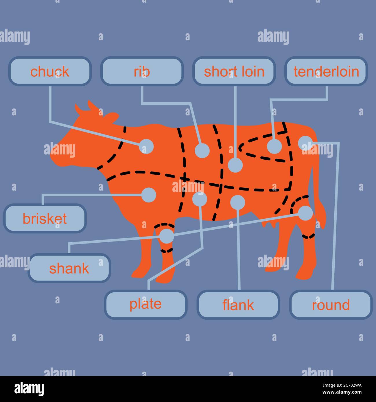 Fleisch Diagramm Stockfotos Und Bilder Kaufen Alamy