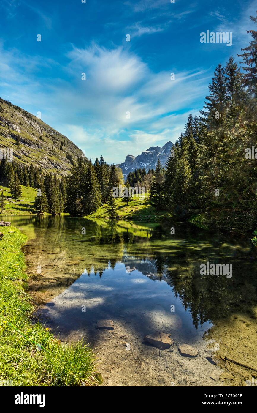 Brunnensee, Region Chablais, Haute-Savoie, Auvergne-Rhone-Alpes, Frankreich Stockfoto
