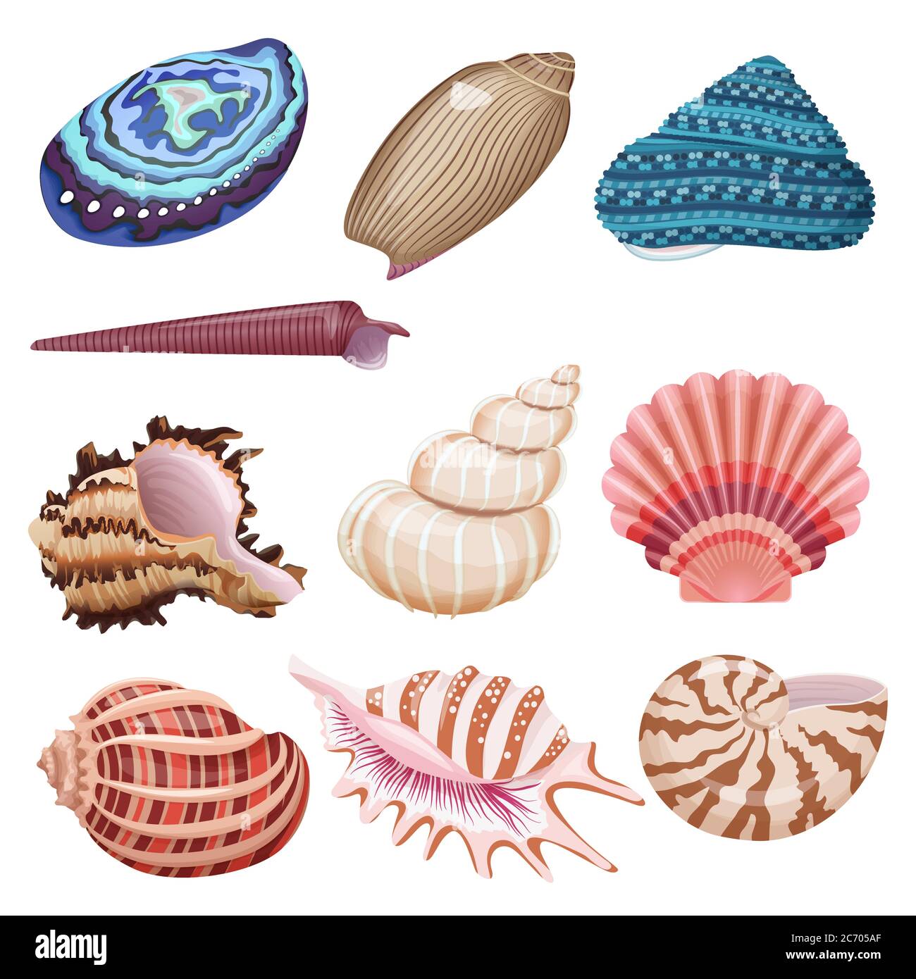 Realistische schöne bunte Vektor Muschelkollektion Set Stock Vektor
