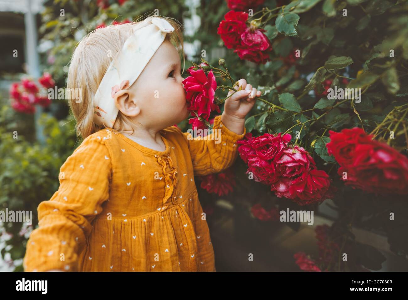 Kind Mädchen riechende Blumen rote Rosen im Garten Kindheit Baby Sommer Lifestyle Aromatherapie Harmonie mit der Natur Stockfoto