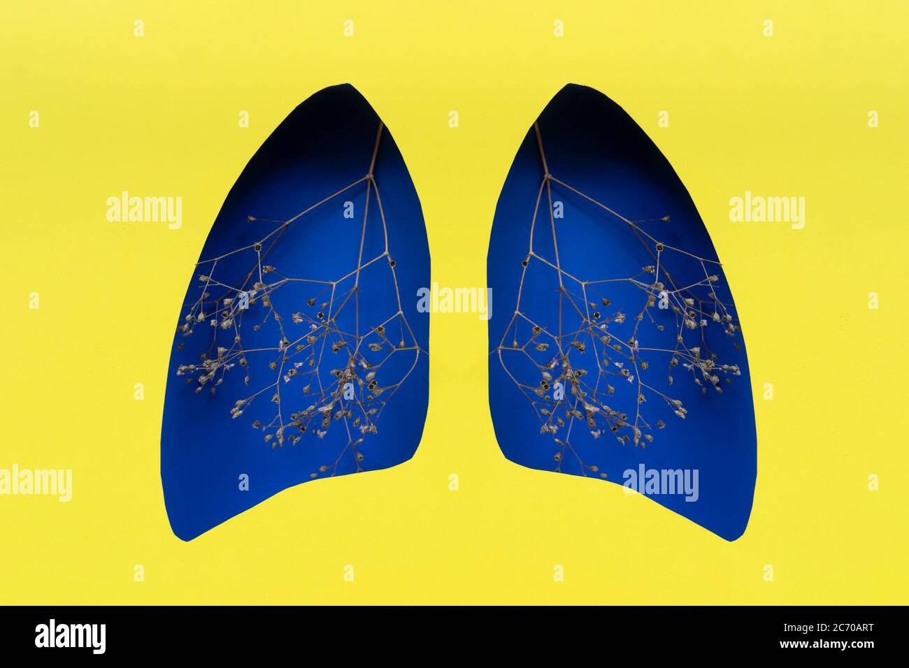 Lungen Symbol Papierkunst mit trockenen Zweigen, blau und gelb. Welttag der Tuberkulose. Gesundheitswesen, Medizin, Lungenkrebs, interne Spenderorgan und STOP s Stockfoto