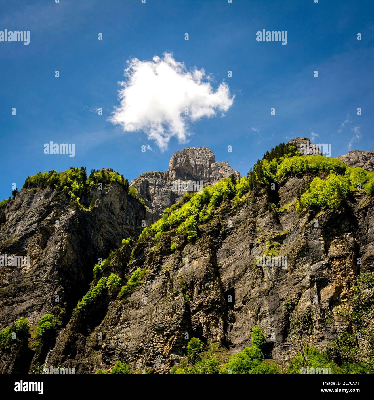 Cirque du Fer A Cheval klassifiziert Grand Site de France. Kalksteingipfel bei Sixt Fer a Cheval. Französische Alpen. Haute-Savoie. Auvergne-Rhone-Alpes Stockfoto