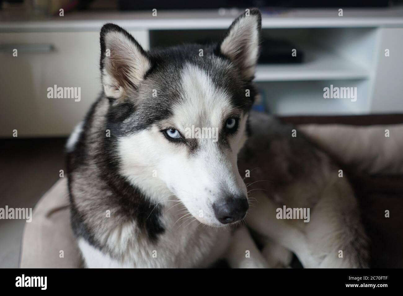 Trennungsschmerz Stockfotos Und Bilder Kaufen Alamy