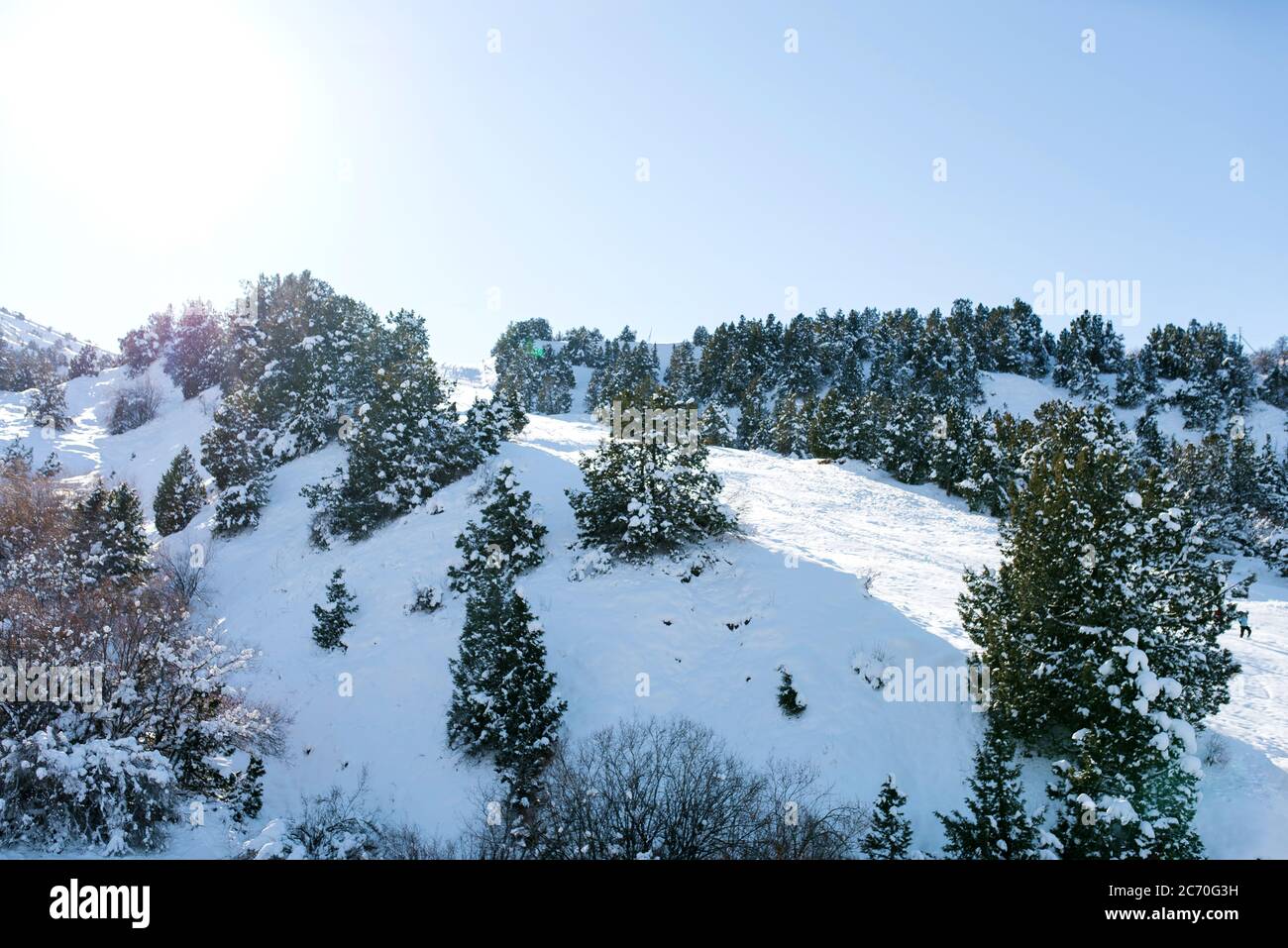 Tian Shan-Gebirgssystem in Usbekistan. Winterlandschaft im Skigebiet Beldersay Stockfoto