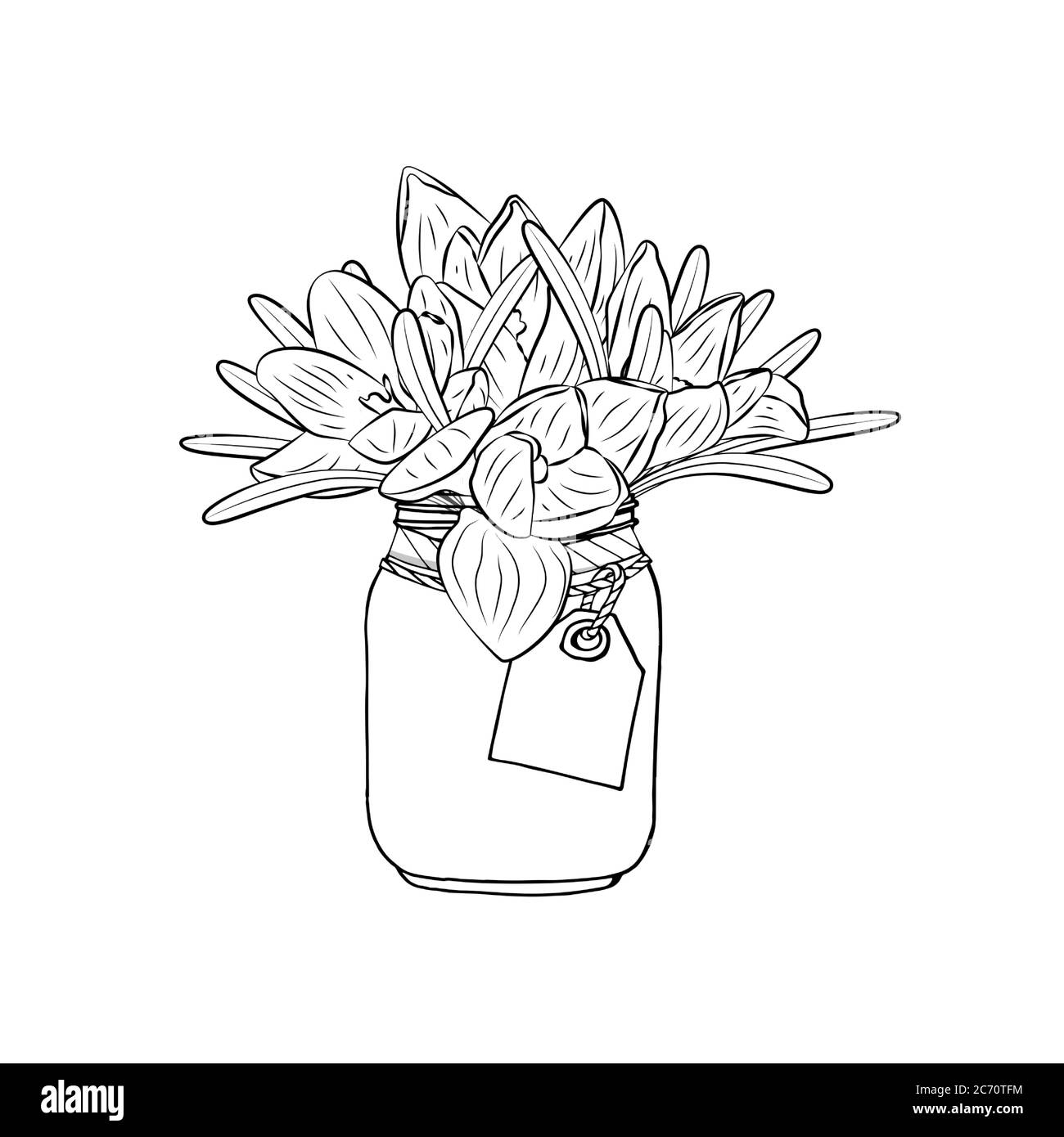 Hand gezeichnet monochromen Krokus Blumen in Einmachglas Cliparts. Element im floralen Dessin. Isoliert auf weißem Hintergrund. Vektor Stock Vektor