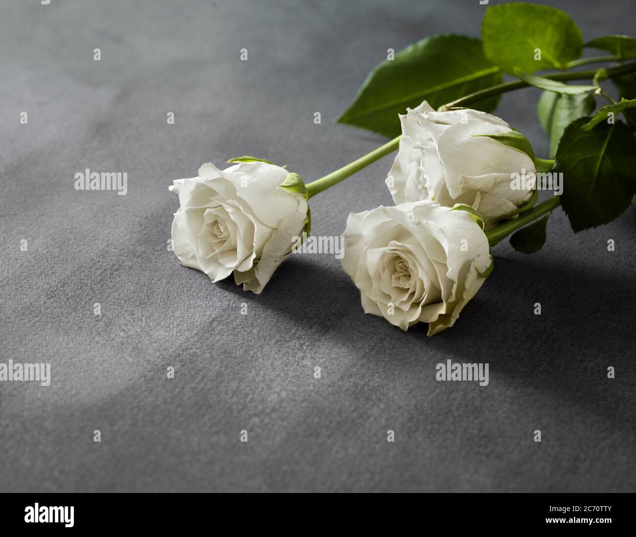 Schöne weiße Rosen auf einem grauen Stein Hintergrund. Symbol für Beerdigung  Stockfotografie - Alamy