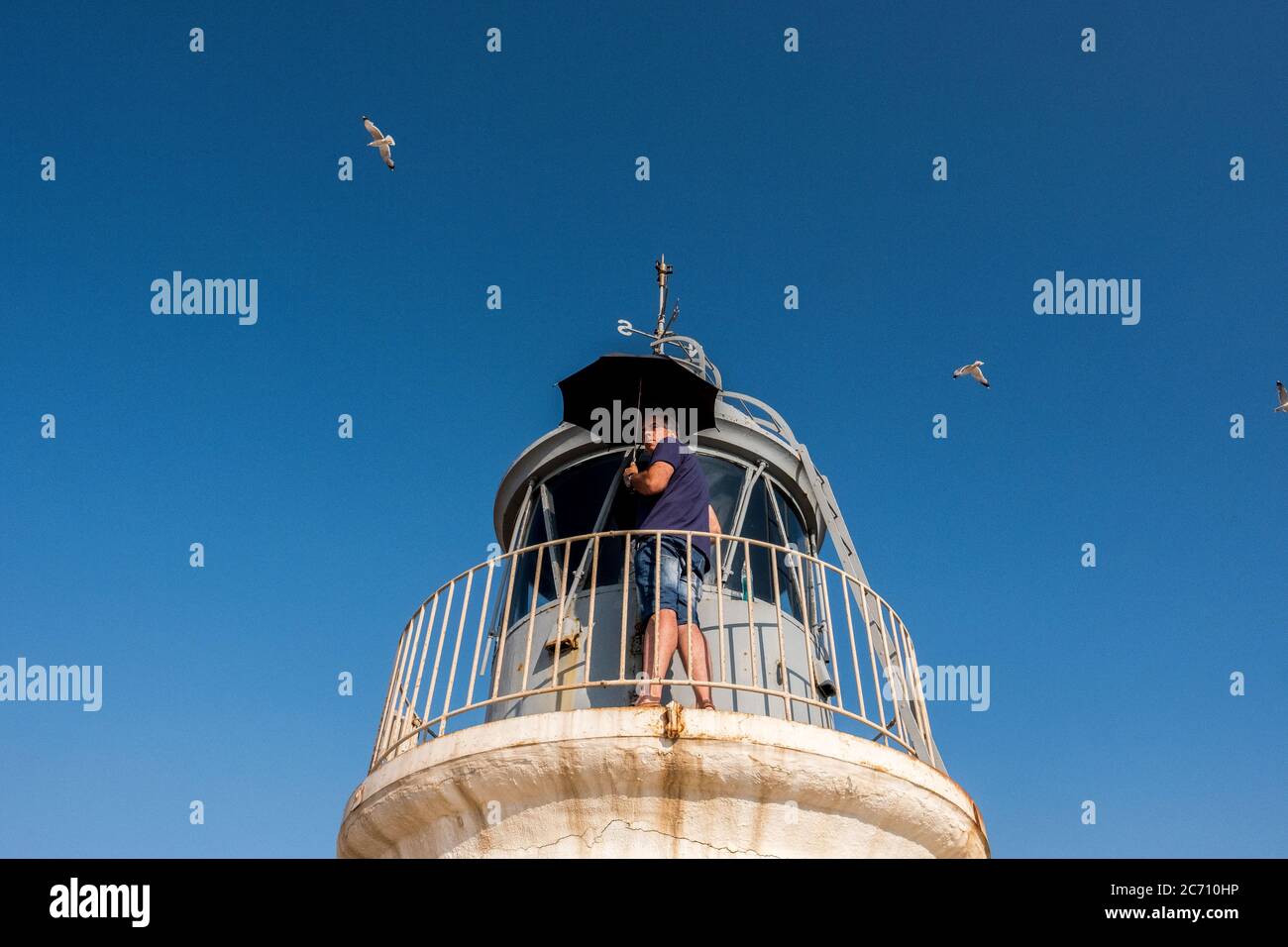 Mario Sanz schützt sich vor den Möwenangriffen mit einem Regenschirm, während er die Fenster des Leuchtturms La Garrucha in Spanien reinigt. Datum: 07/06/2017. Stockfoto