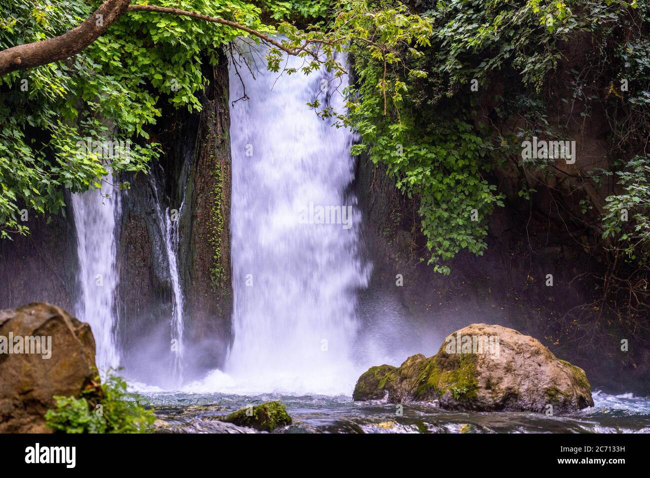 Hermon Stream Natur Reservat (Banias) Golanhöhen Israel dieser Stream ist eine der Quellen des Jordans Stockfoto