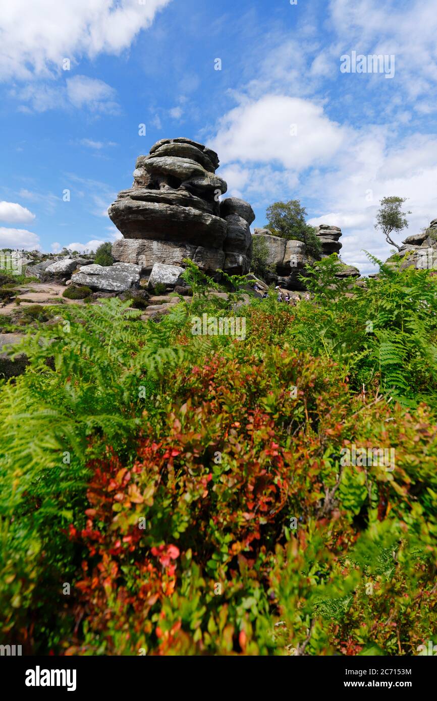 Brimham Rocks in North Yorkshire, gehört dem National Trust und ist ideal für Familien. Die natürliche Gesteinsformation entstand vor 325 Millionen Jahren Stockfoto