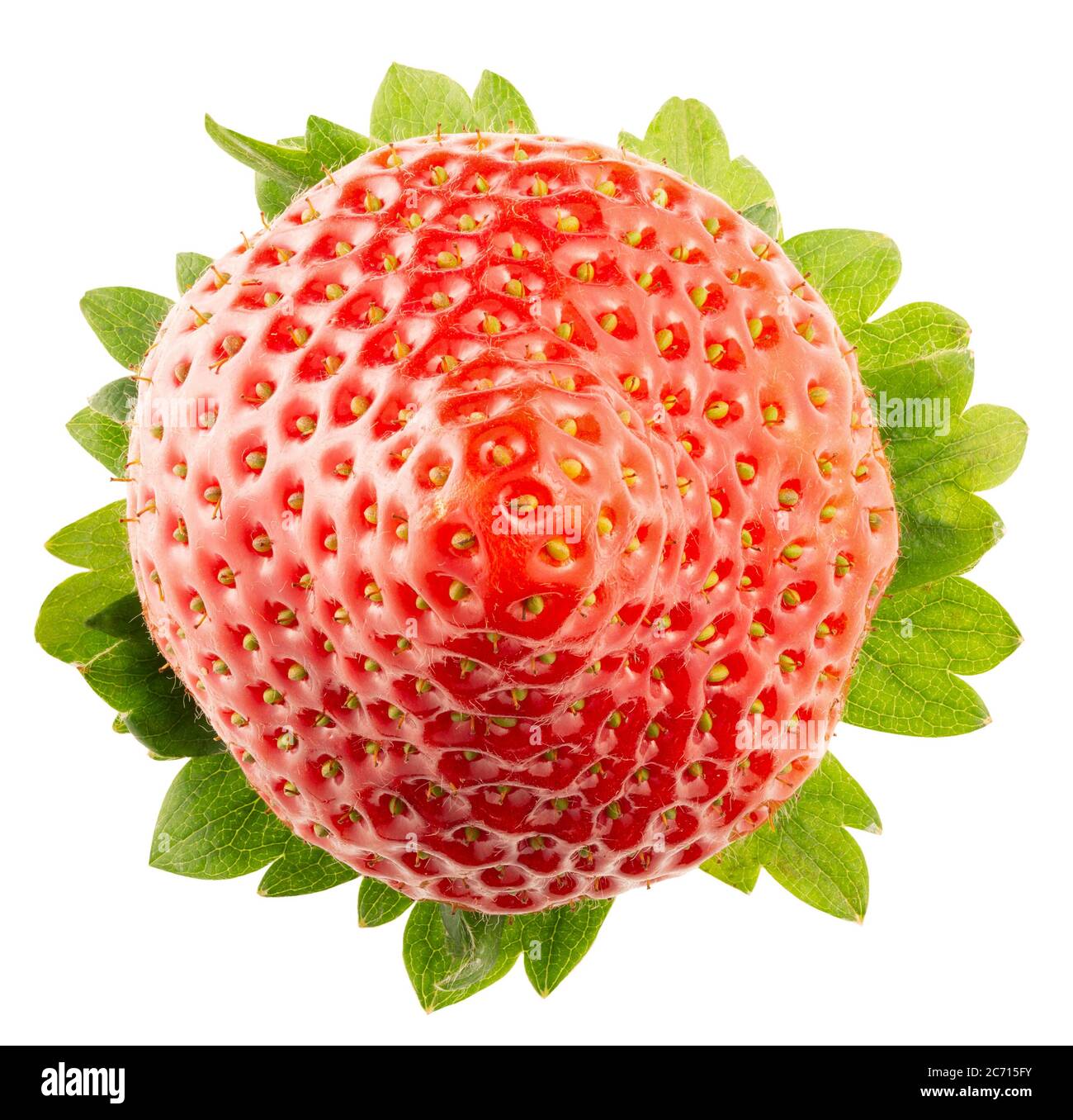 Erdbeere, isoliert auf einem weißen Hintergrund. Stockfoto