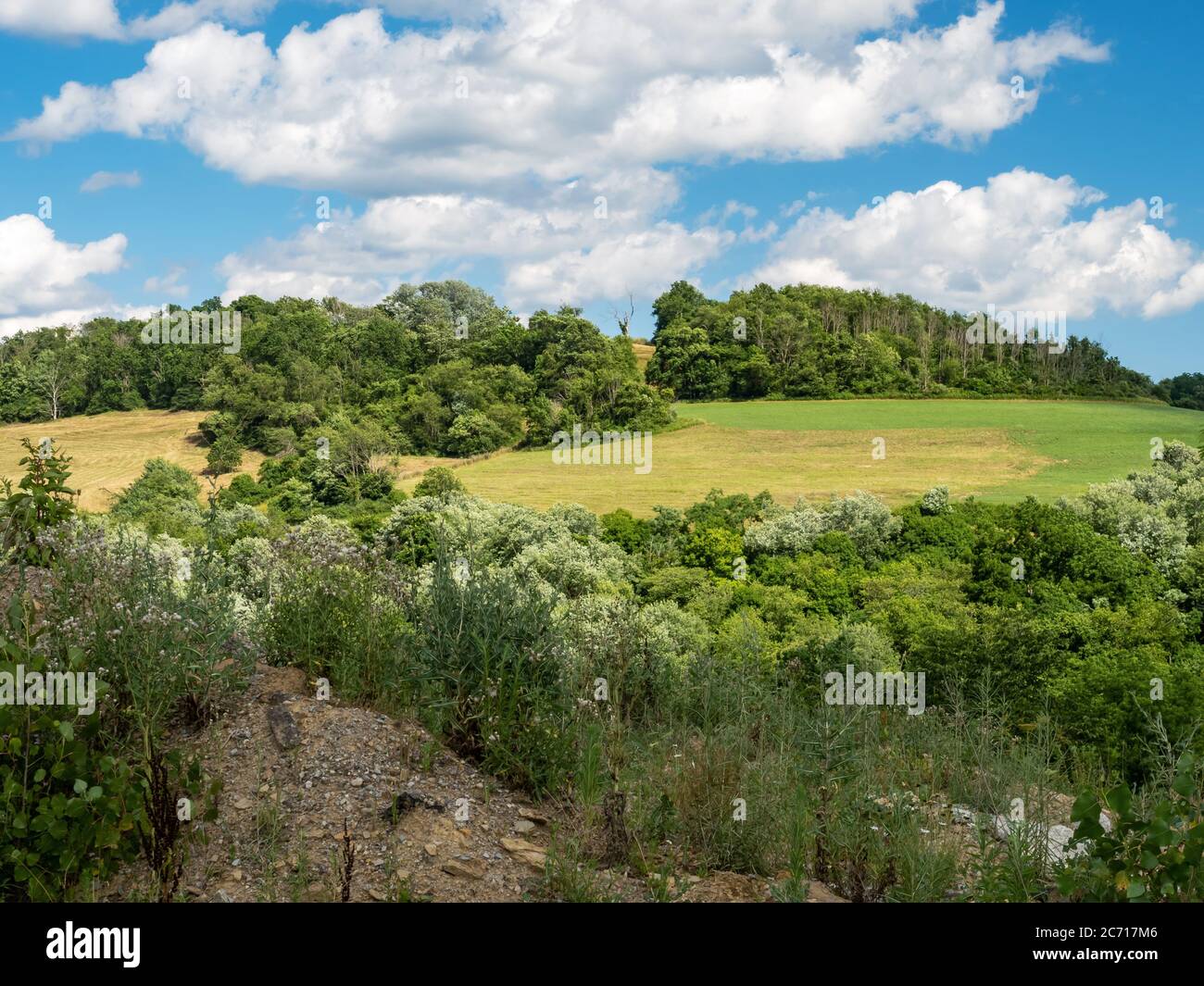 Landschaftlich reizvolle Landschaft in Washington County im Südwesten von Pennsylvania, in der Nähe von Pittsburgh. Sanfte Hügel von Grün mit Bäumen und einem hellen blauen Himmel mit Weiß Stockfoto