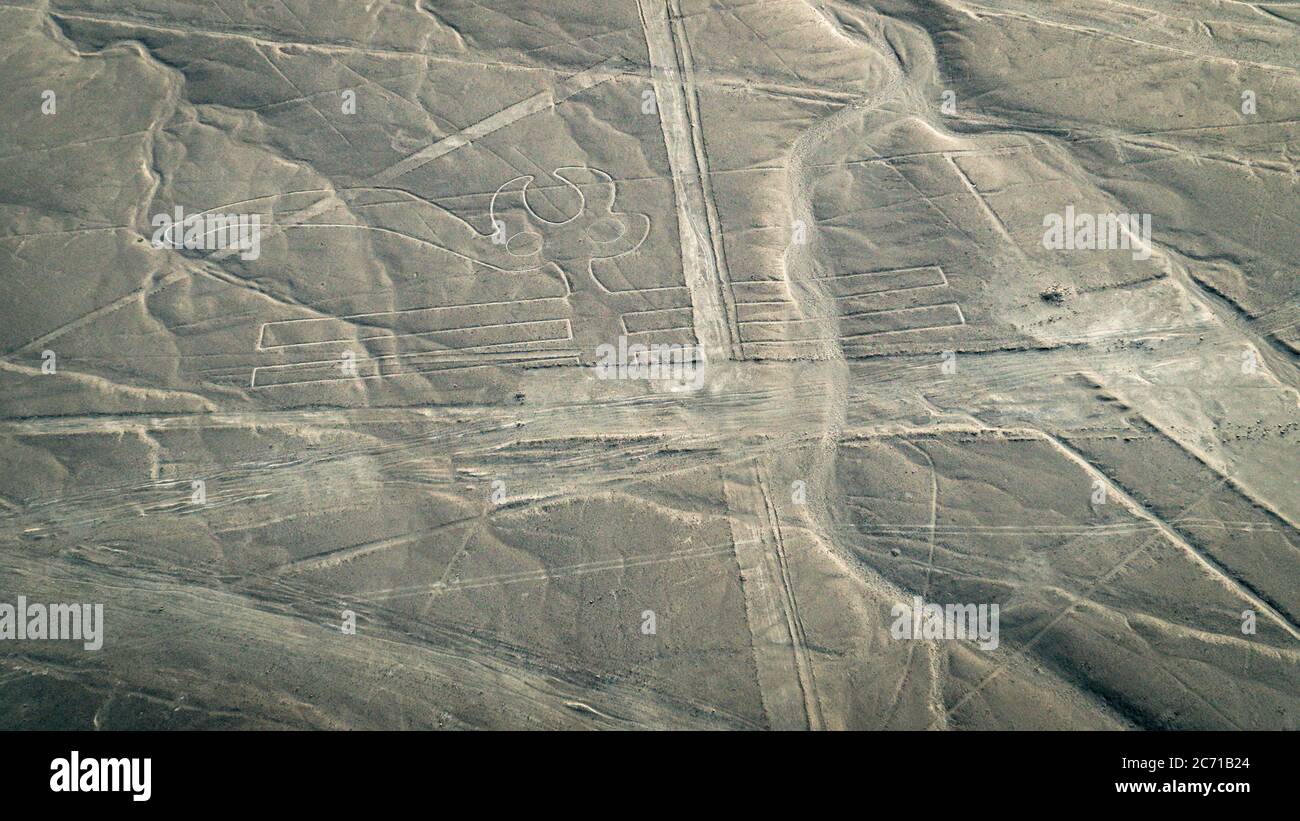 Nazca, Peru - August 2017: Der Pelikan wie in der Nasca-Linie, Nazca, Peru gesehen Stockfoto