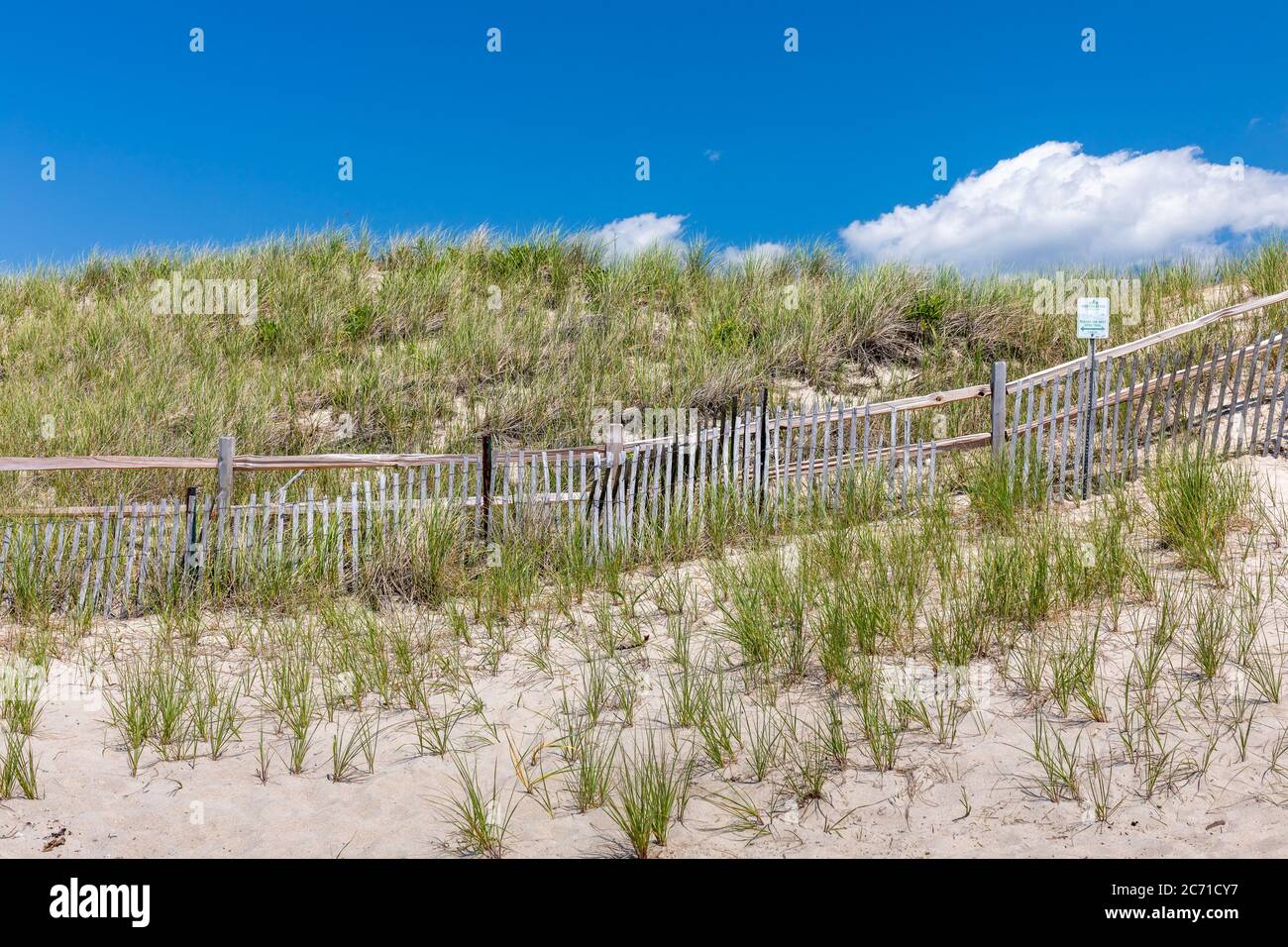 Küstenlandschaft mit Düne, Strandgras und Zaun unter einem tiefblauen Himmel mit weißer Wolke an einem sonnigen Sommertag Stockfoto
