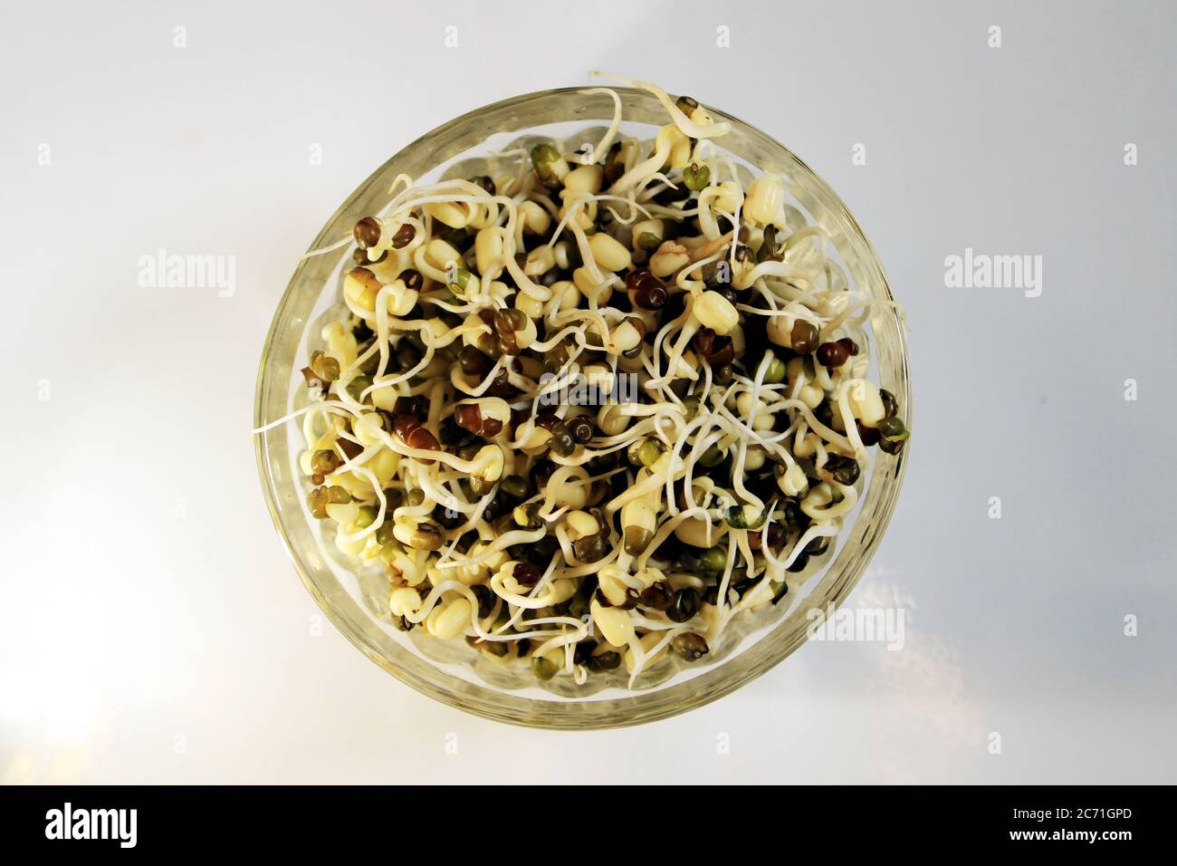 Frisches gekeimtes grünes Gramm isoliert mit weißem Hintergrund. Frische, gesunde Mungdal oder Moong Bohnen. Stockfoto