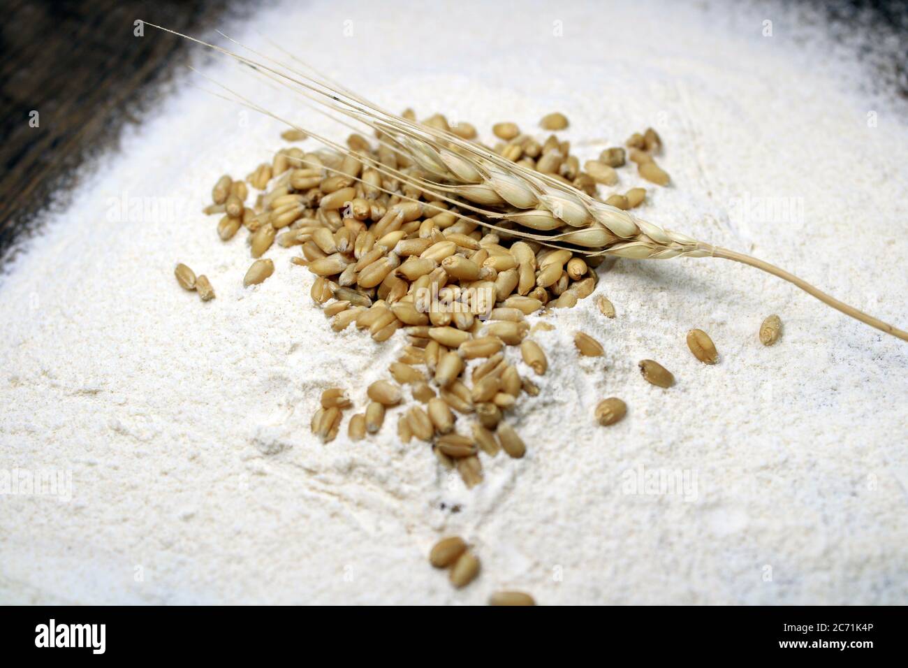 Haufen von organischen Vollkornweizen. Frisch geerntetes Weizenkorn auf Weizenmehl Hintergrund. Konzept für Lebensmittelzutaten für Getreide. Stockfoto