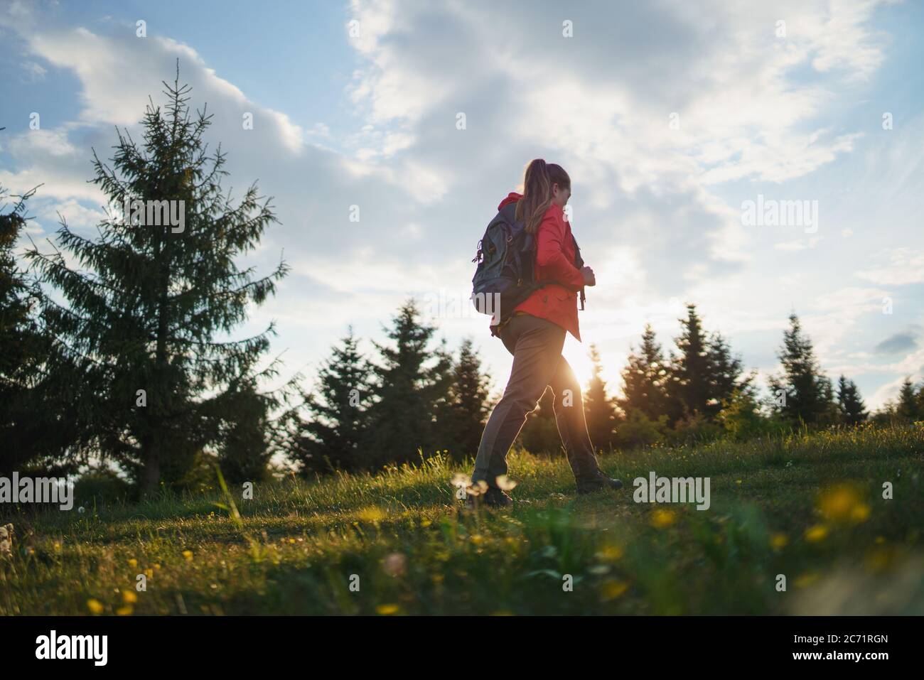 Junge Frau auf einem Spaziergang im Freien auf der Wiese im Sommer Natur, Wandern. Stockfoto